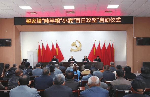 “吨半粮”梦想绽放临邑县翟家镇