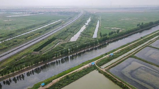 黄河入海流|讲好黄河故事,东营奋力谱写黄河流域生态保护新篇章|新浪 黄河入海流|讲好黄河故事,东营奋力谱写黄河流域生态保护新篇章|新浪