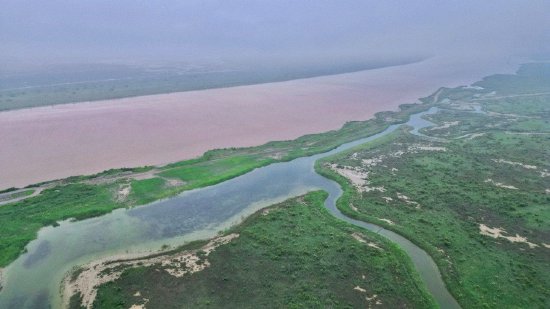 黄河入海流|讲好黄河故事,东营奋力谱写黄河流域生态保护新篇章|新浪 黄河入海流|讲好黄河故事,东营奋力谱写黄河流域生态保护新篇章|新浪