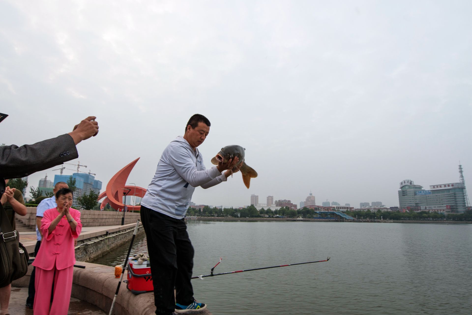 舞动的锦鲤|摄影|宠物摄影|wangningtuhua - 原创作品 - 站酷 (ZCOOL)