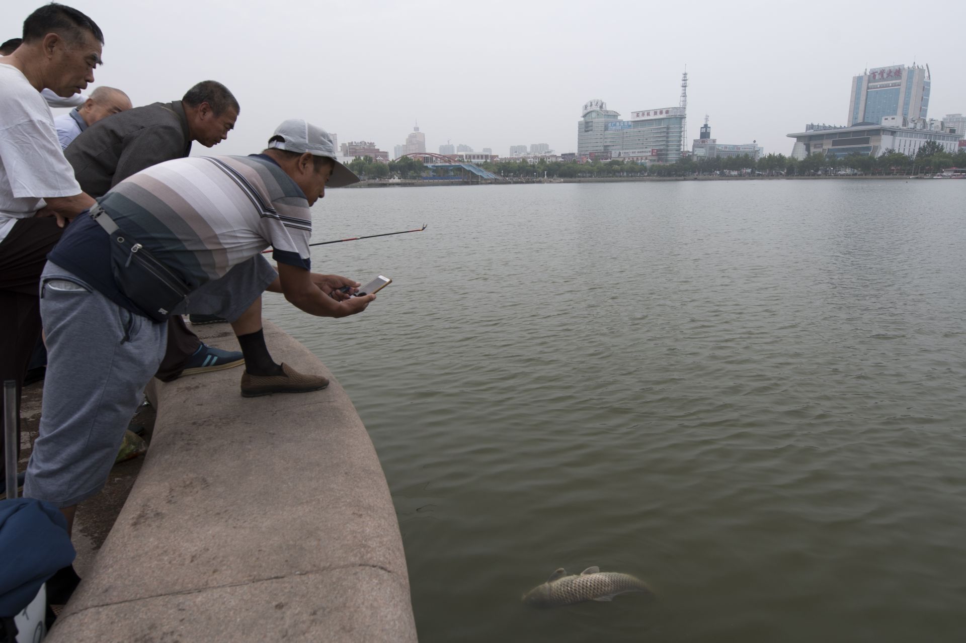 德州市民在新湖钓到32.5斤黄河大鲤鱼，选择放生