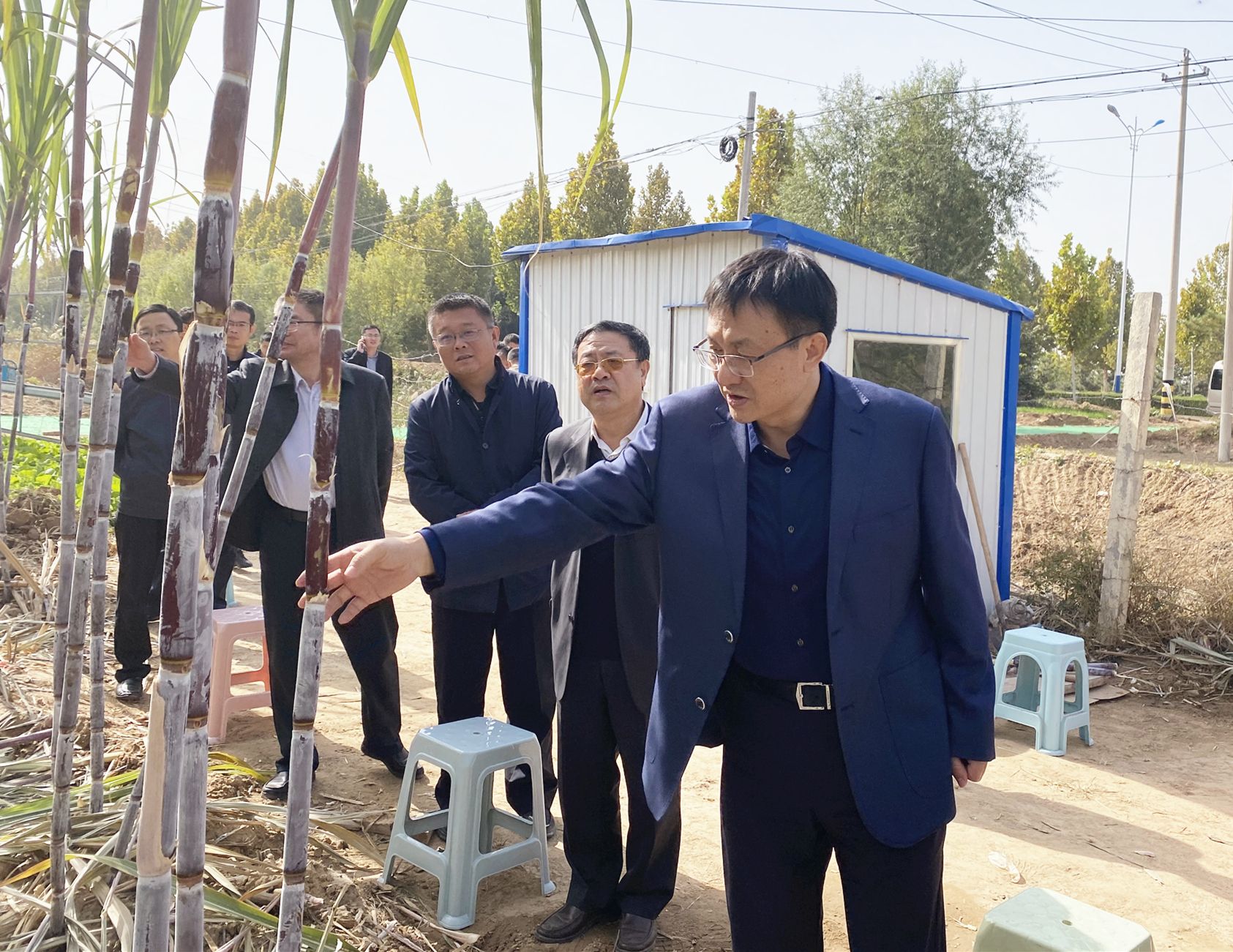 德州市委副书记张传忠到陵城区调研脱贫攻坚,美丽宜居