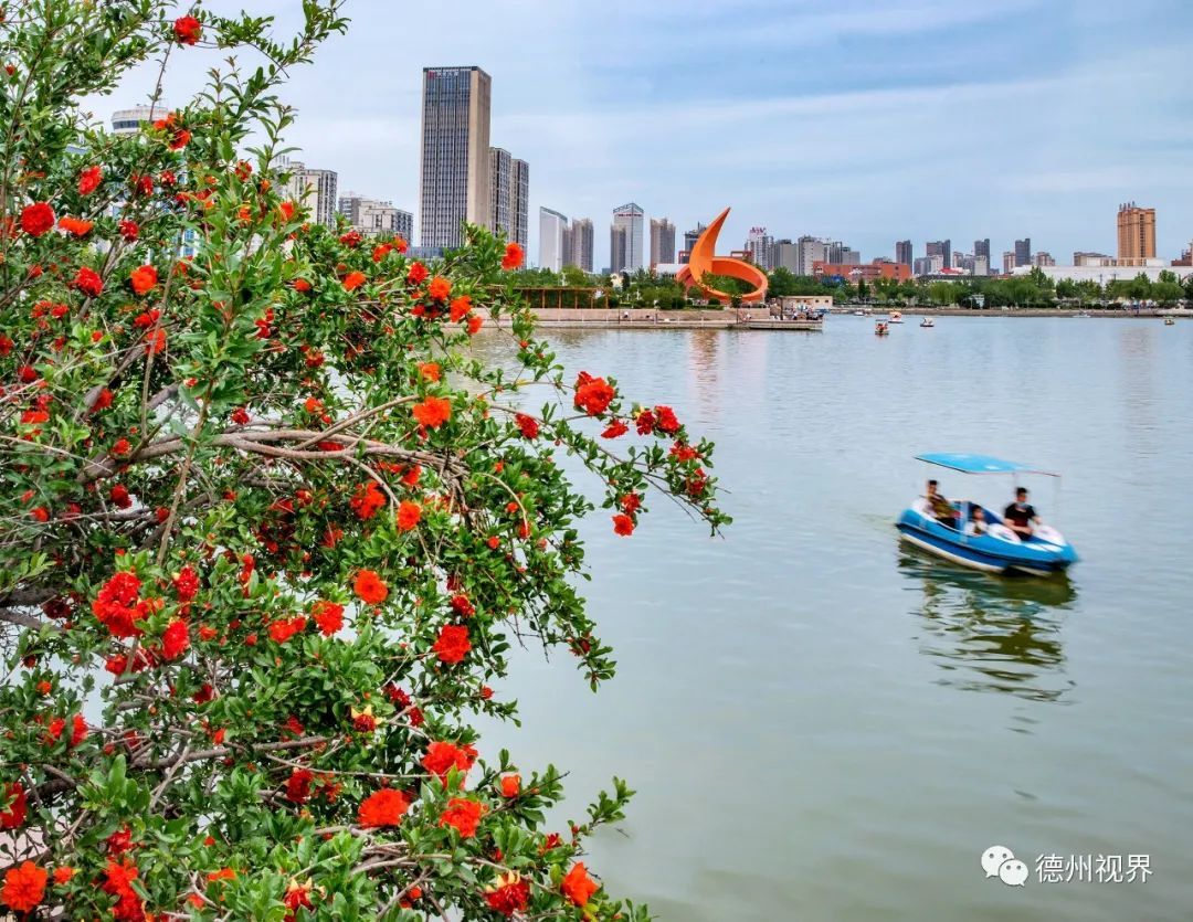 5月2日,春光明媚的新湖风景区