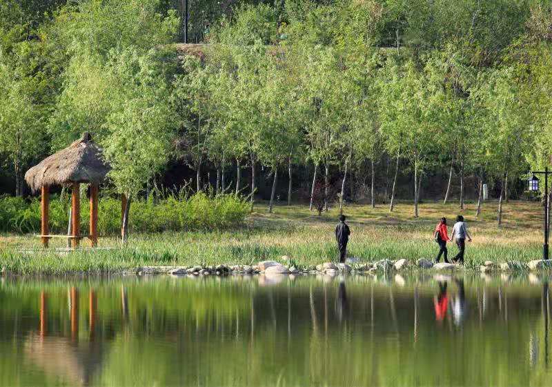 减河湿地公园获评国家湿地公园!