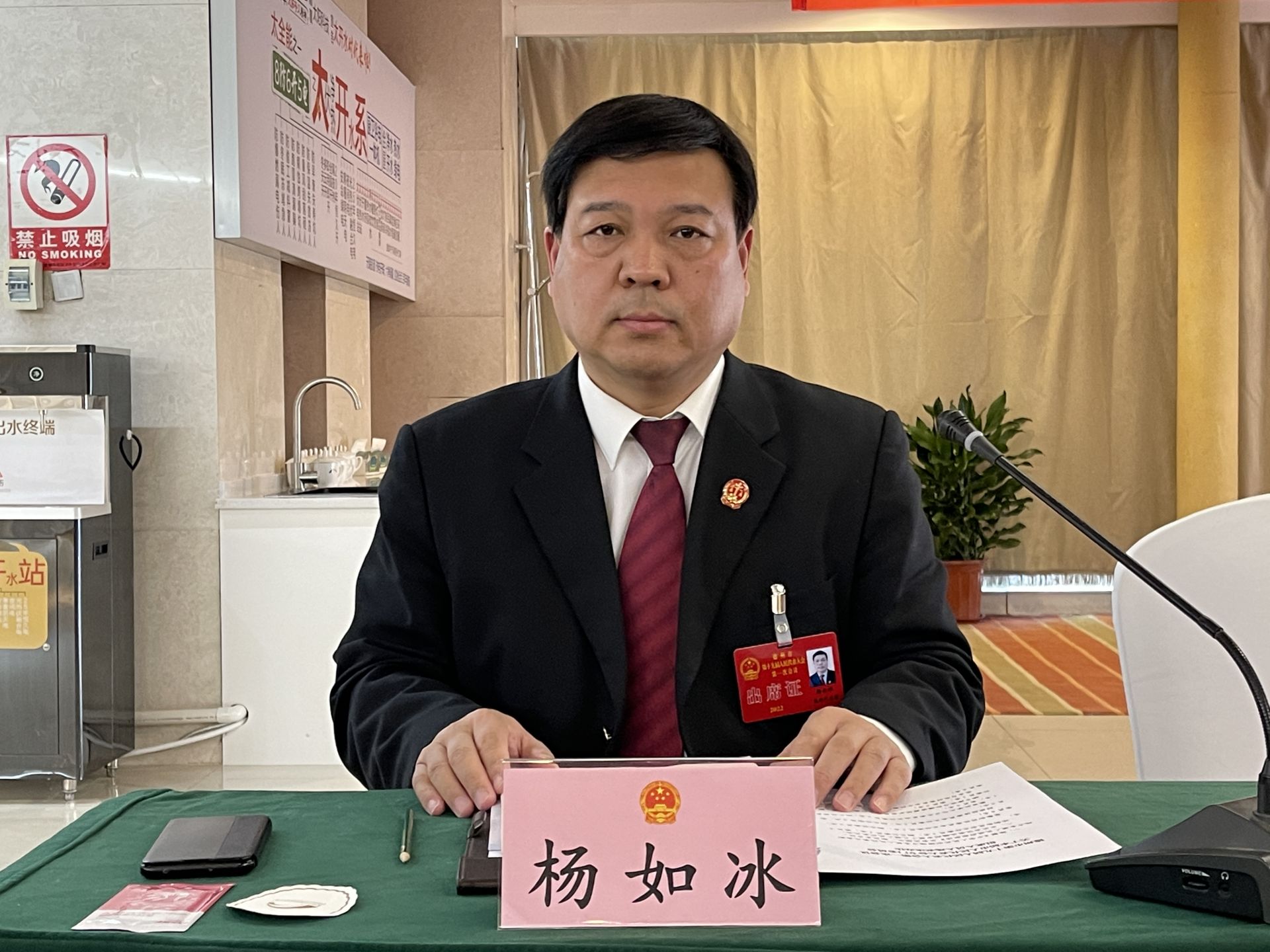 市人大代表陵城区法院党组书记院长杨如冰践行司法为民服务经济社会高