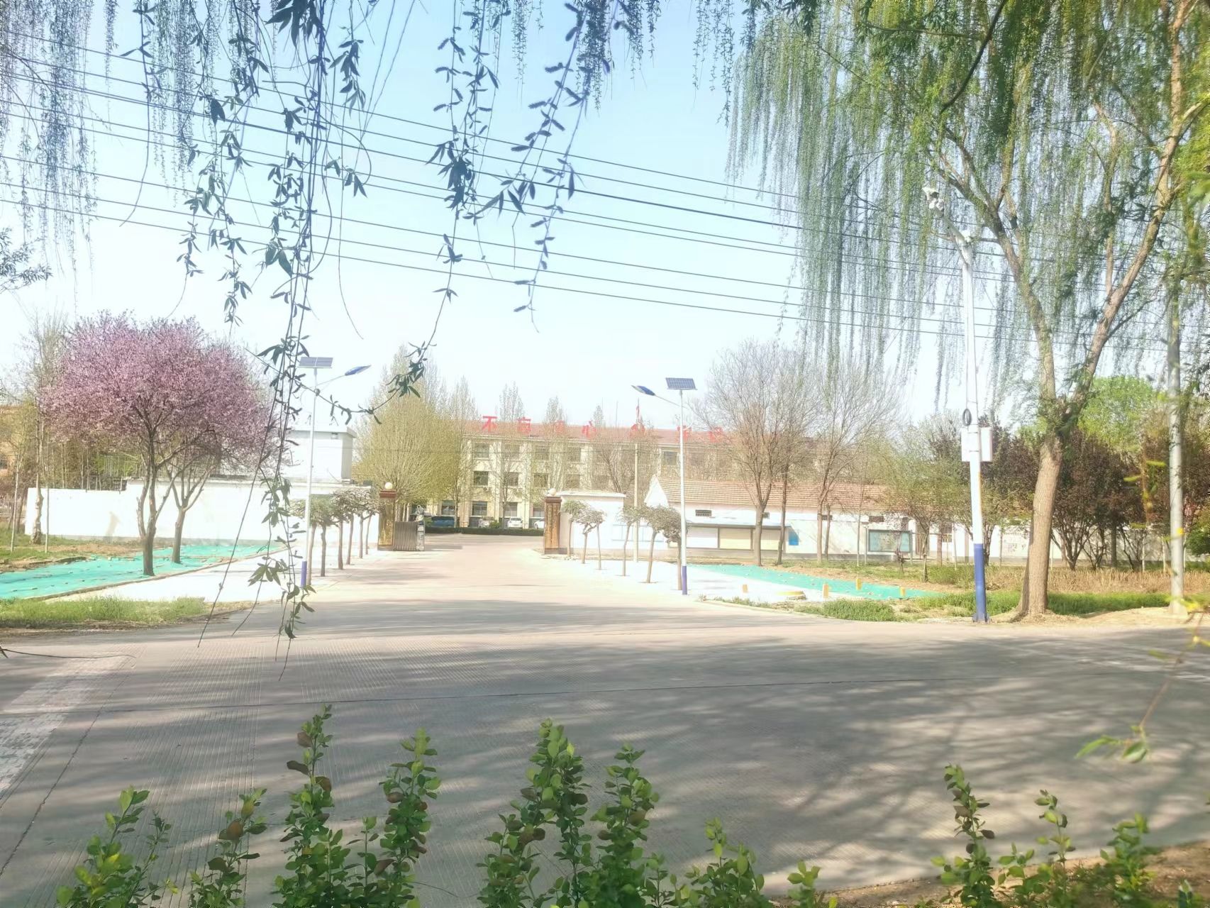夏津县东李镇整改管理保持三篇文章助力人居环境长效提升