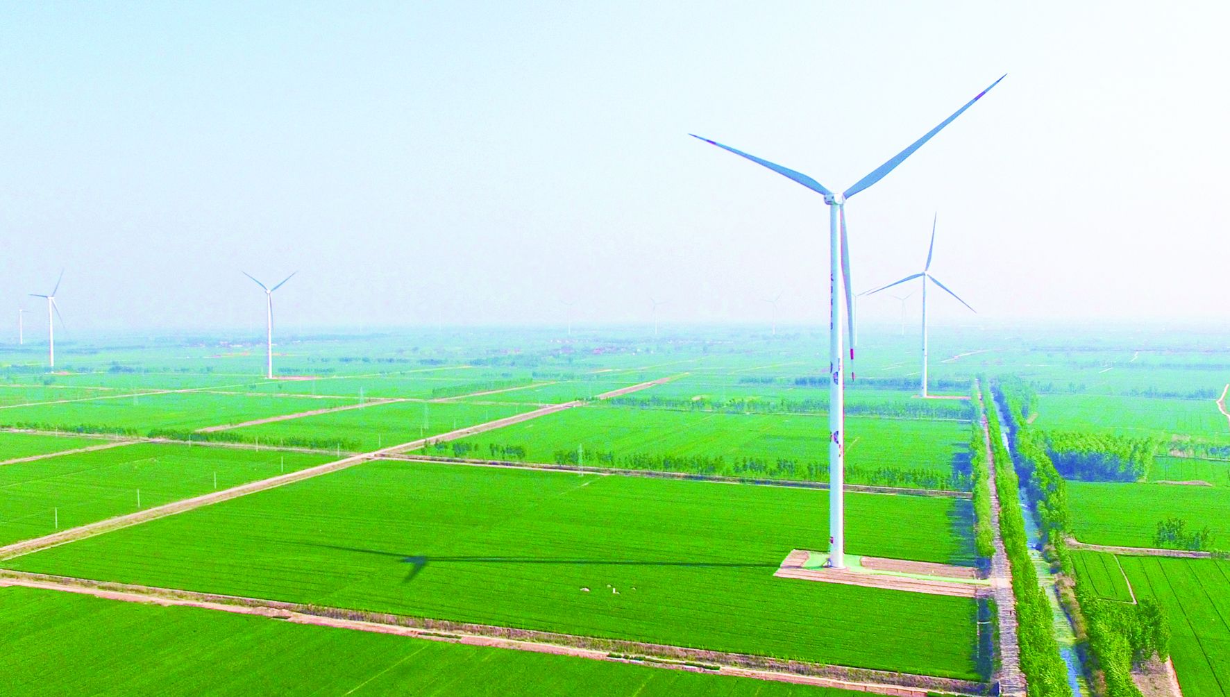 温州平原网站建设_(温州平原地区主要分布在哪里)