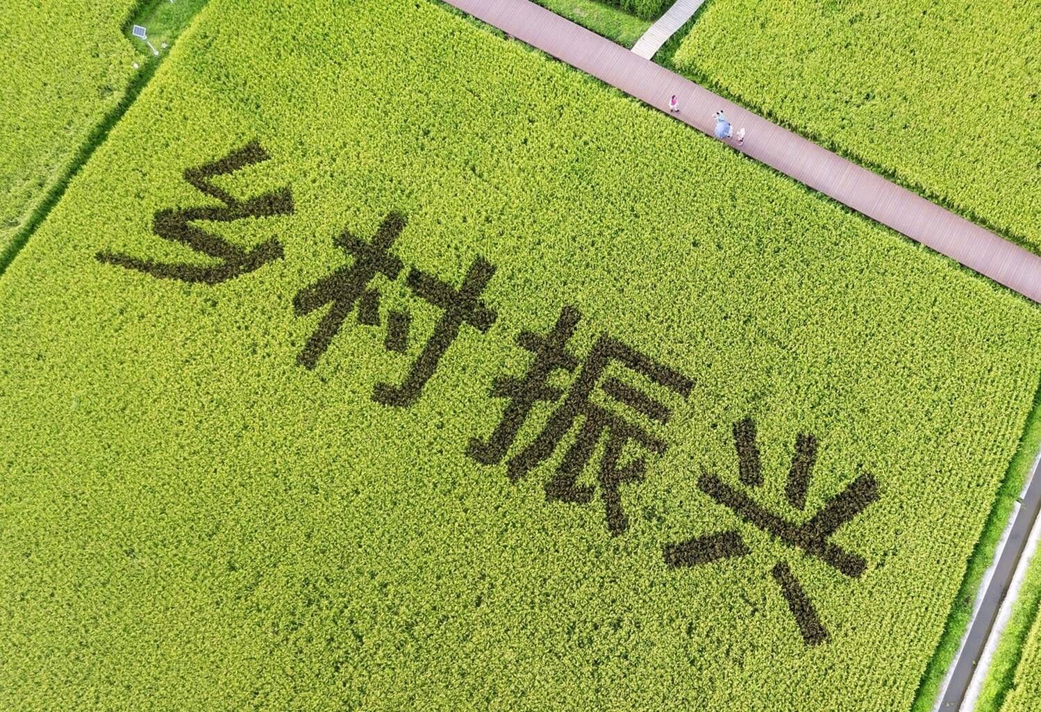 安徽乡村振兴标志图片