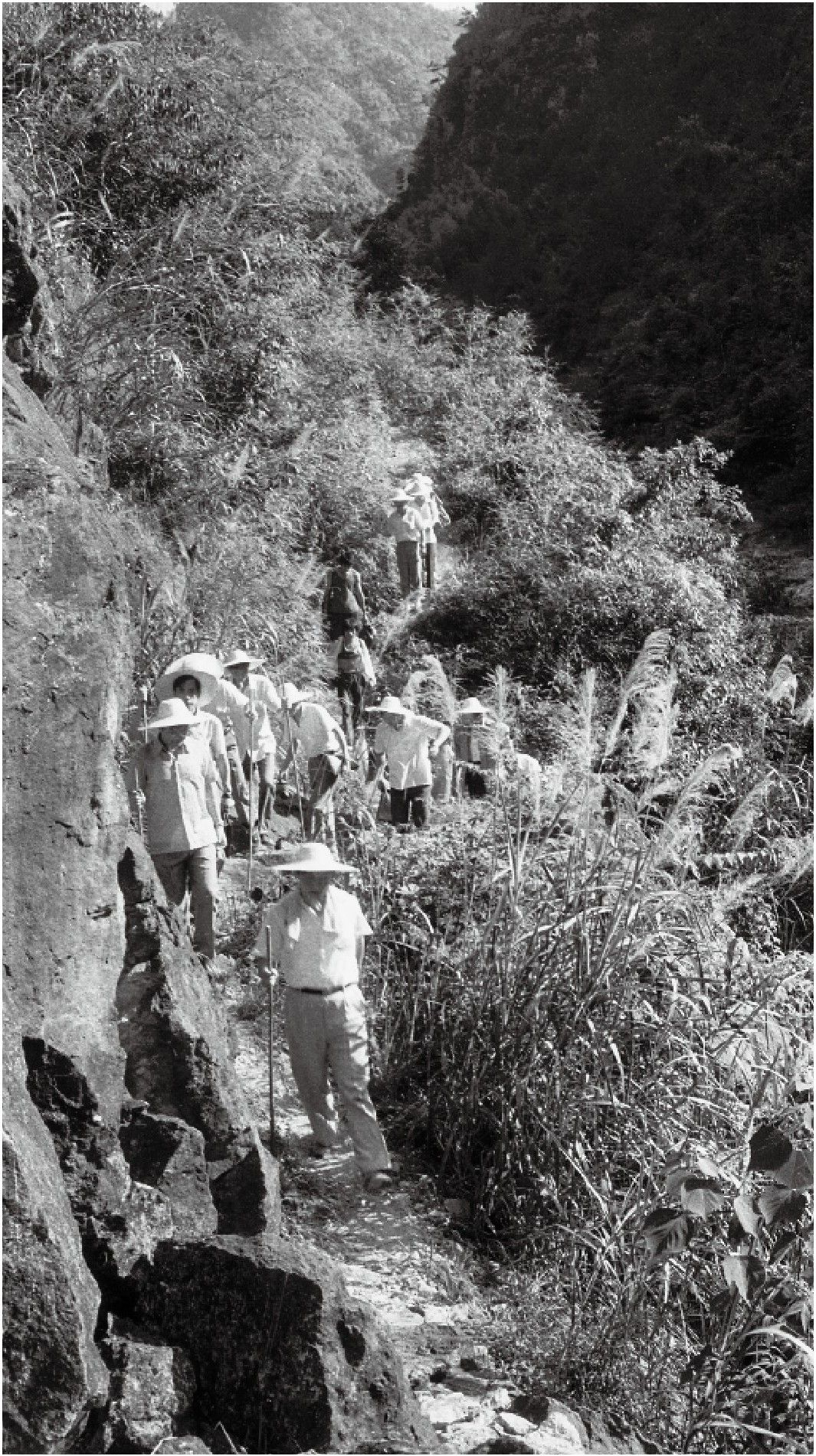 1989年7月，習(xí)近平一行到壽寧縣下黨鄉(xiāng)調(diào)研。