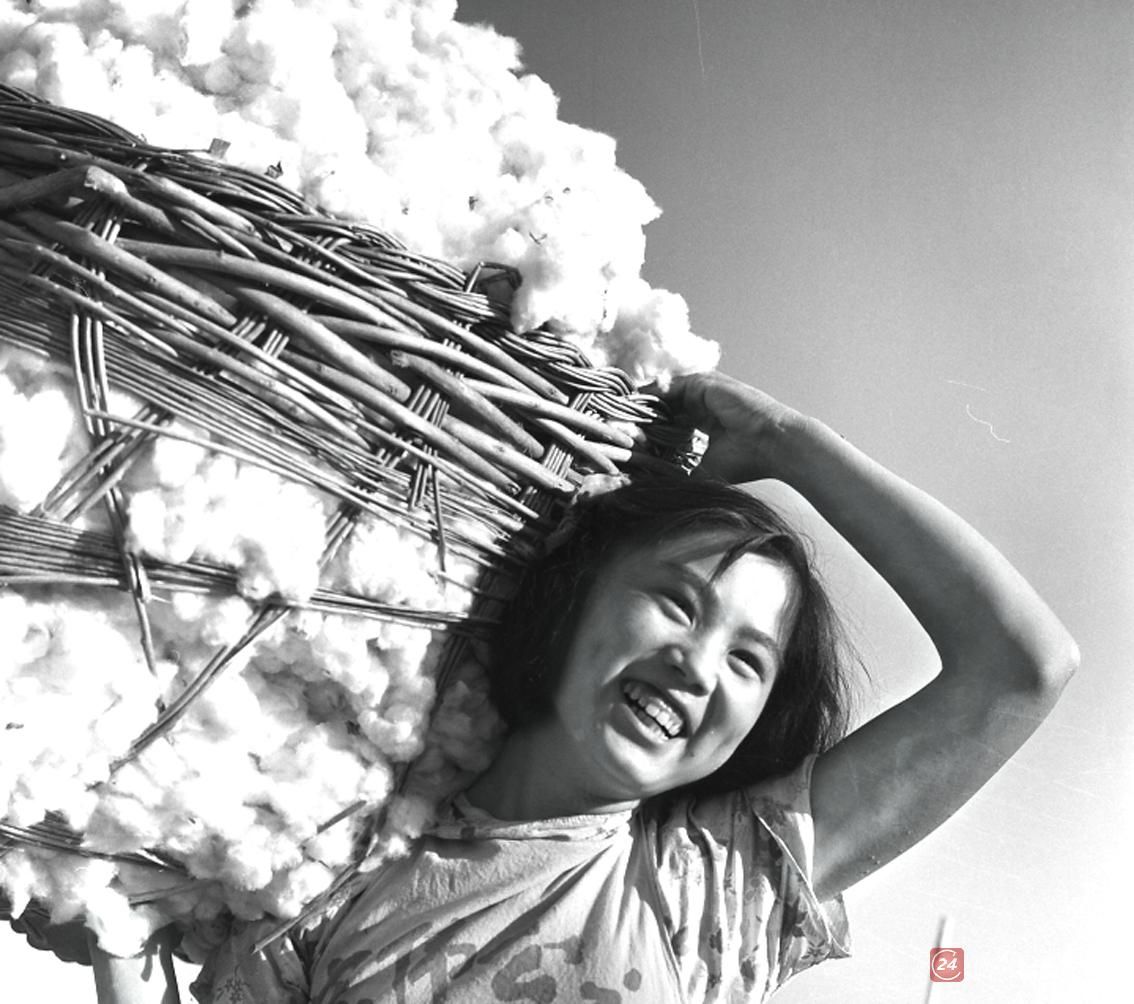 德州文脉上世纪50年代意气风发的翻身女性