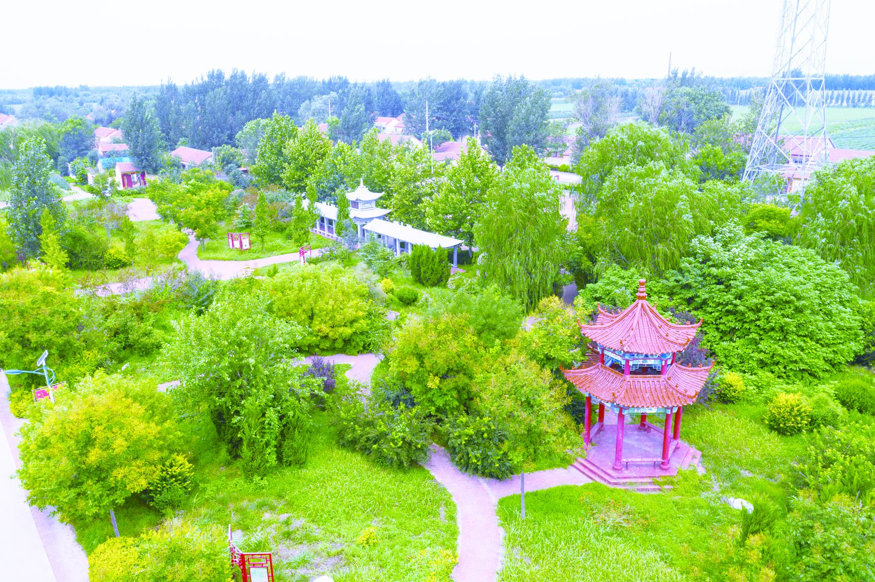 乡村振兴·率先突破 | 禹城辛店镇:全域化谋振兴 项目化抓落实