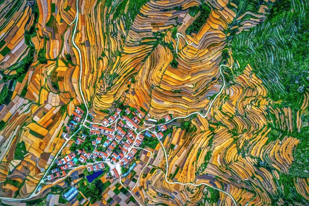 "竹泉杯·齐鲁样板之最美乡村"摄影大赛获奖名单揭晓!