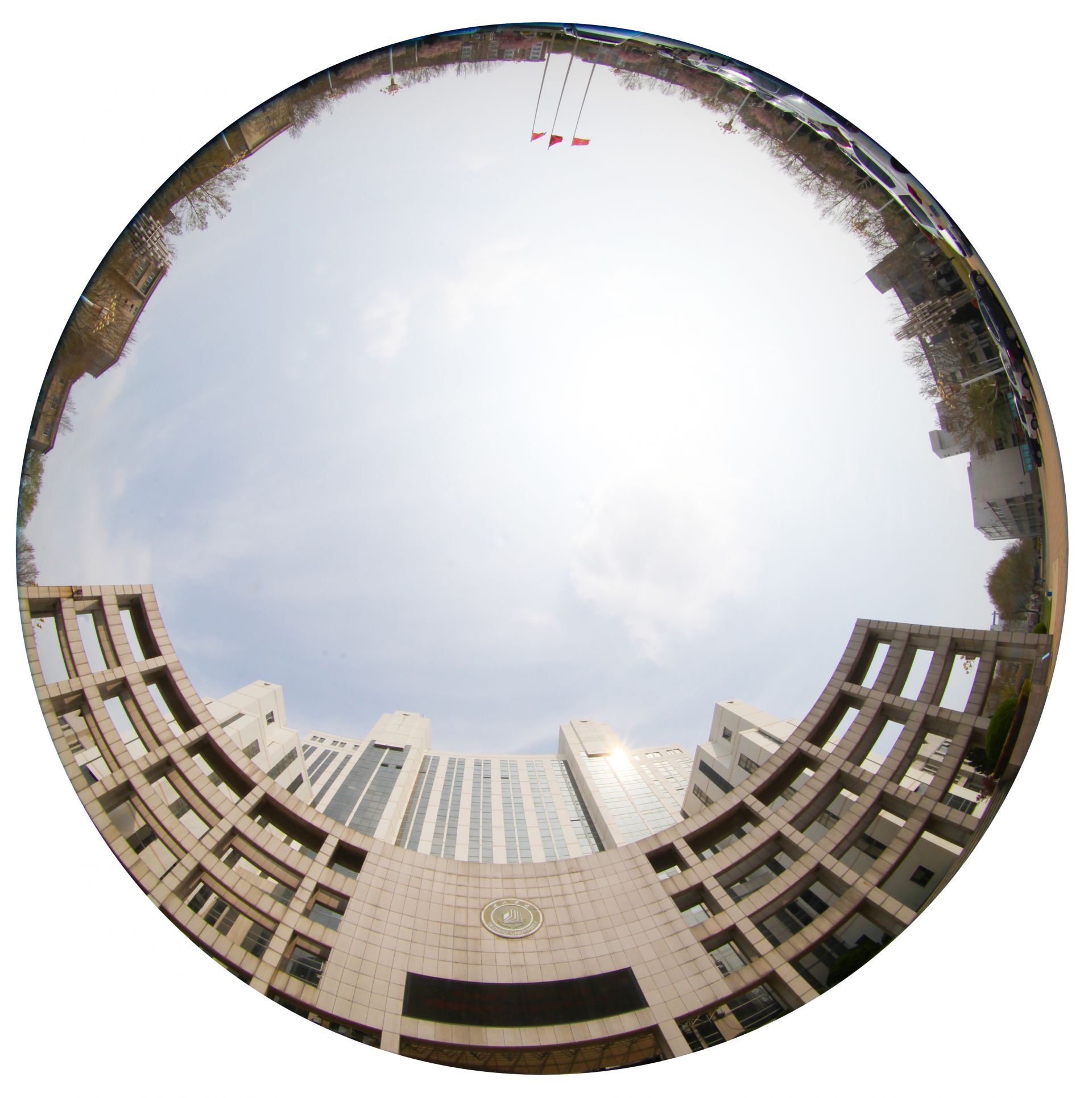 美!"鱼眼"里的校园春色