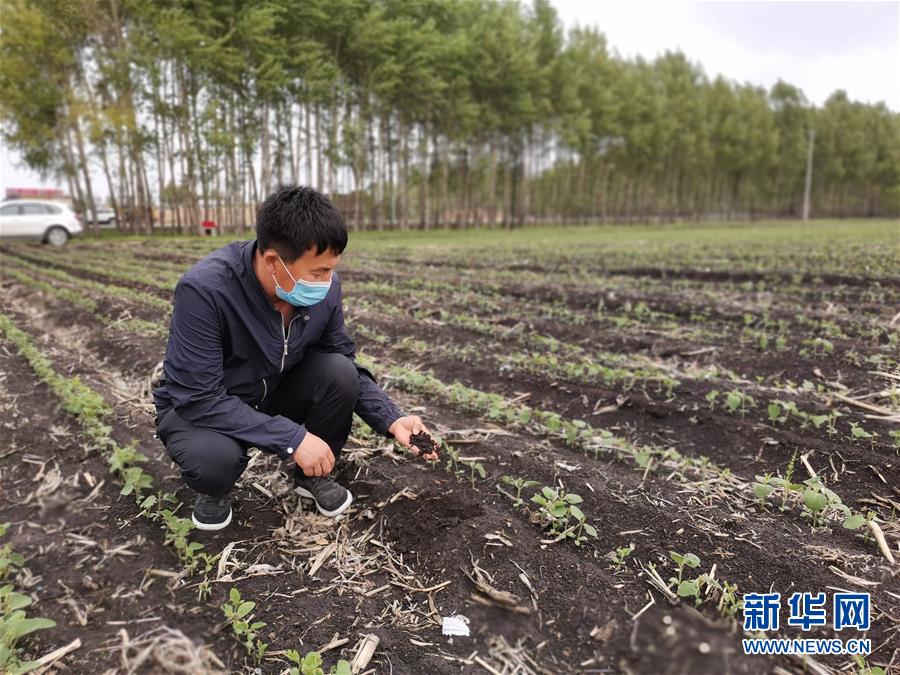 （在习近平新时代中国特色社会主义思想指引下——新时代新作为新篇章·习近平总书记关切事·图文互动）（6）让每一寸耕地都成为丰收的沃土——我国加强耕地保护推进“藏粮于地”