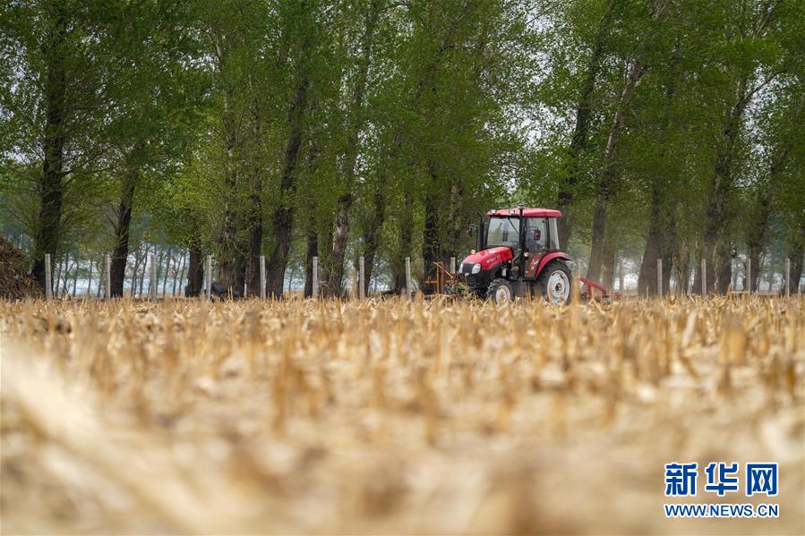 （在习近平新时代中国特色社会主义思想指引下——新时代新作为新篇章·习近平总书记关切事·图文互动）（9）让每一寸耕地都成为丰收的沃土——我国加强耕地保护推进“藏粮于地”