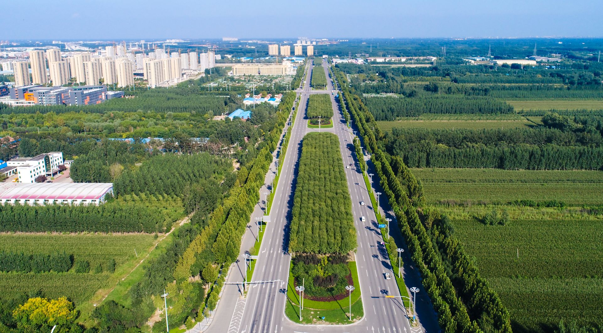 十三五我们这样走过 | 德州:中心城区绿地率达35%以上,市民出门抬眼见