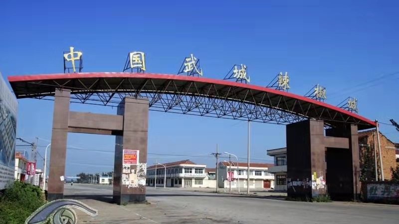 山东省辣椒协会在武城县揭牌成立 谭英潮当选会长_德州新闻网