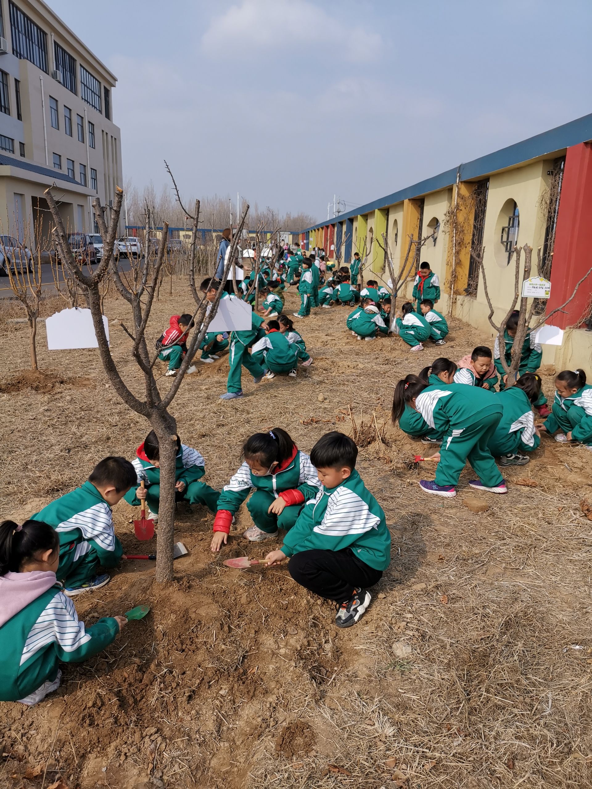 "小树伴我成长" | 德州市实验小学春晖校区开展绿化校园主题教育