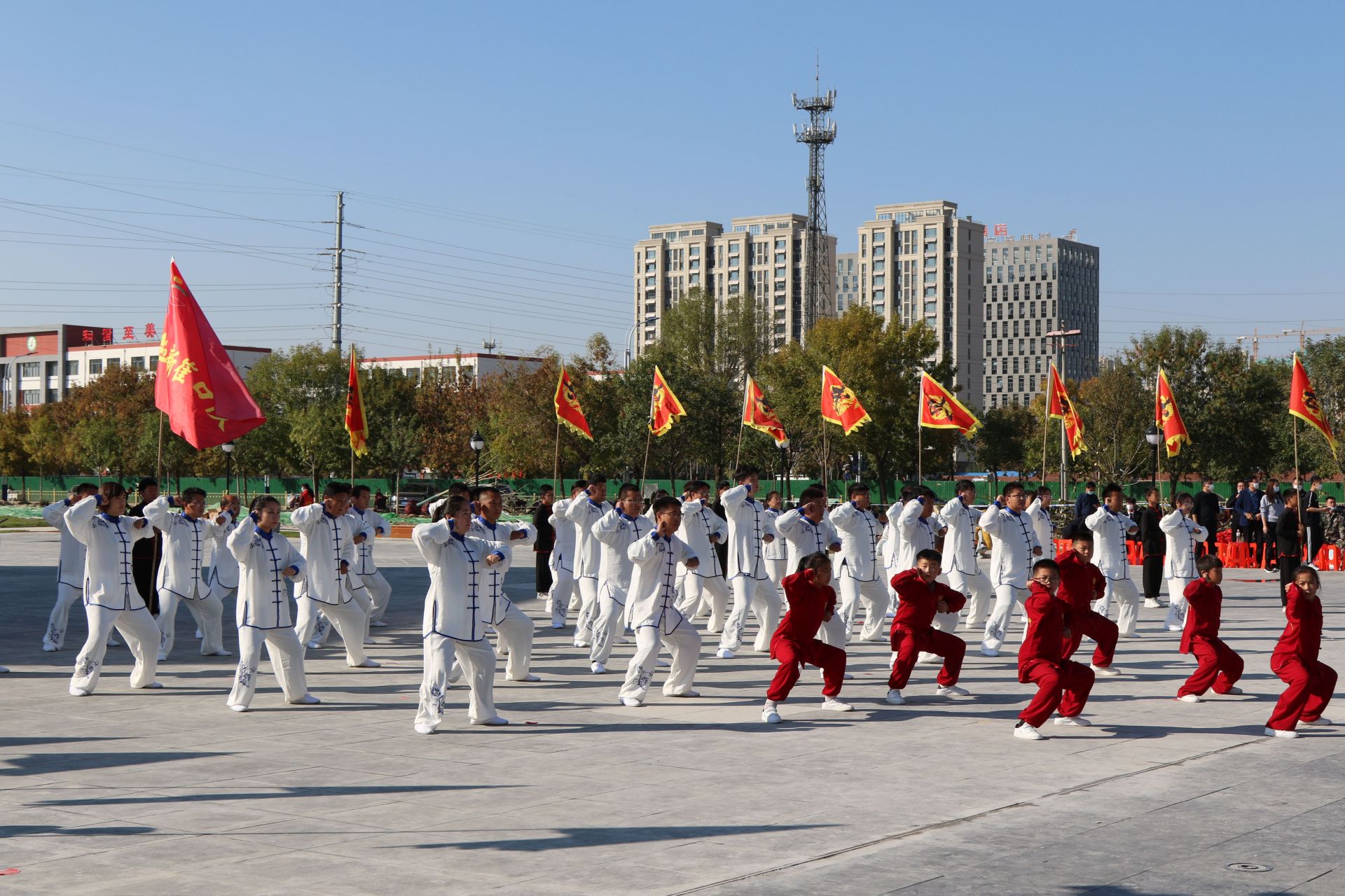 33支代表队同打八极一套拳庆云举办吴钟八极拳全民健身活动汇演