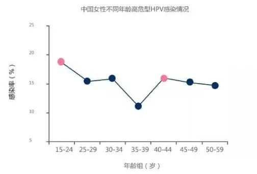 hpv分布对照图图片