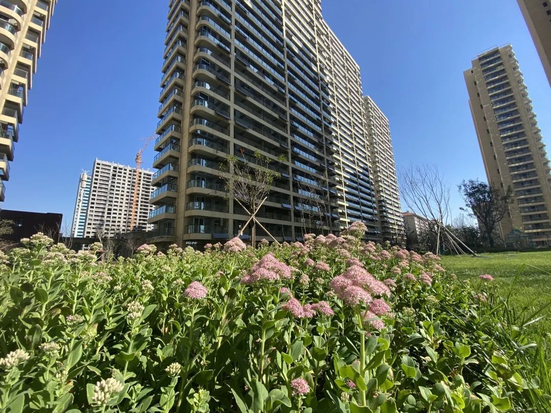 旗舰华嬉庄园与自然为邻尽享绿意生活