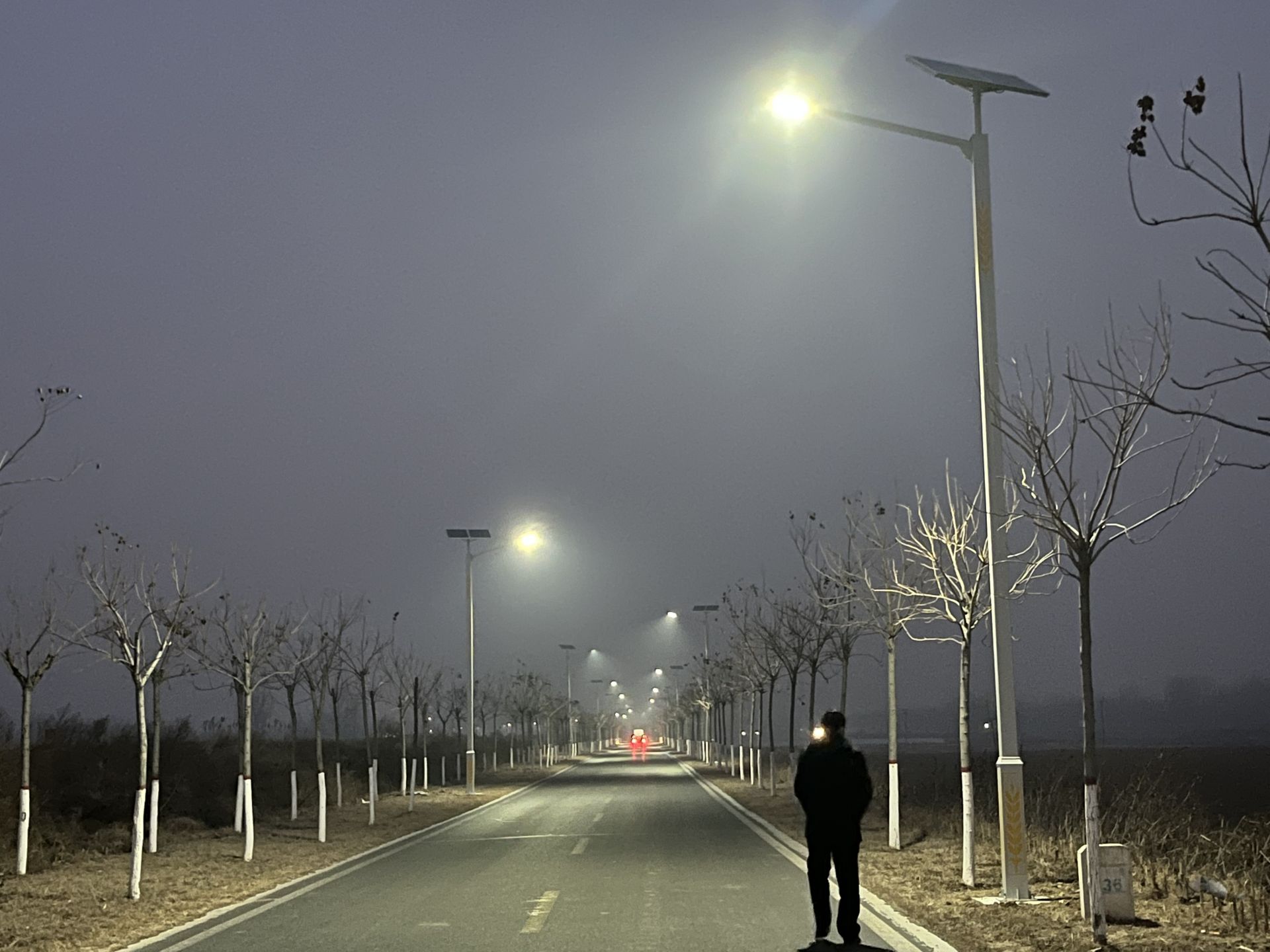 乐陵800余盏路灯照亮群众平安幸福路