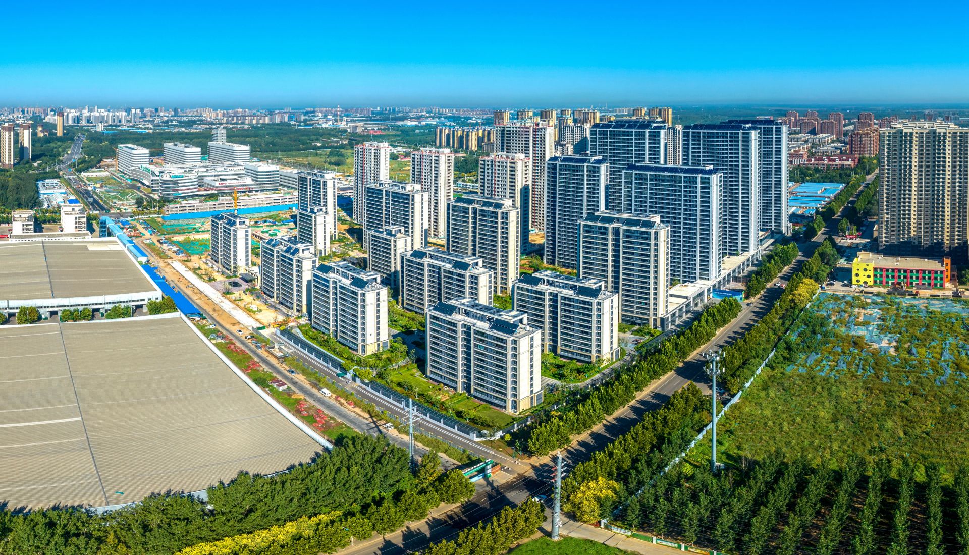 在德州住兰园首届绿城德达兰园杯摄影大赛奖项揭晓