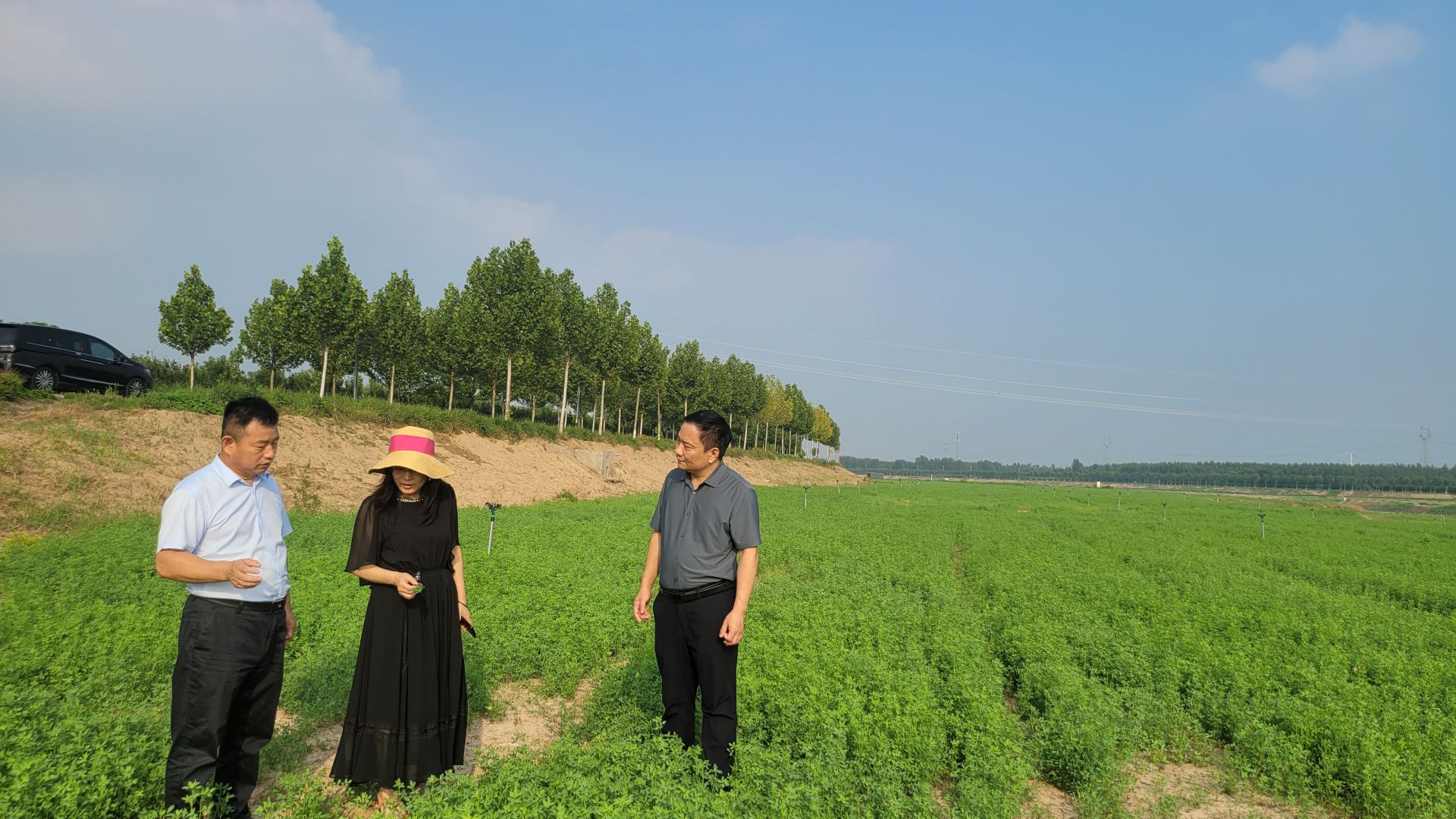 德州市科技特派员牧草产业服务团走进乐陵将关键技术送到生产一线