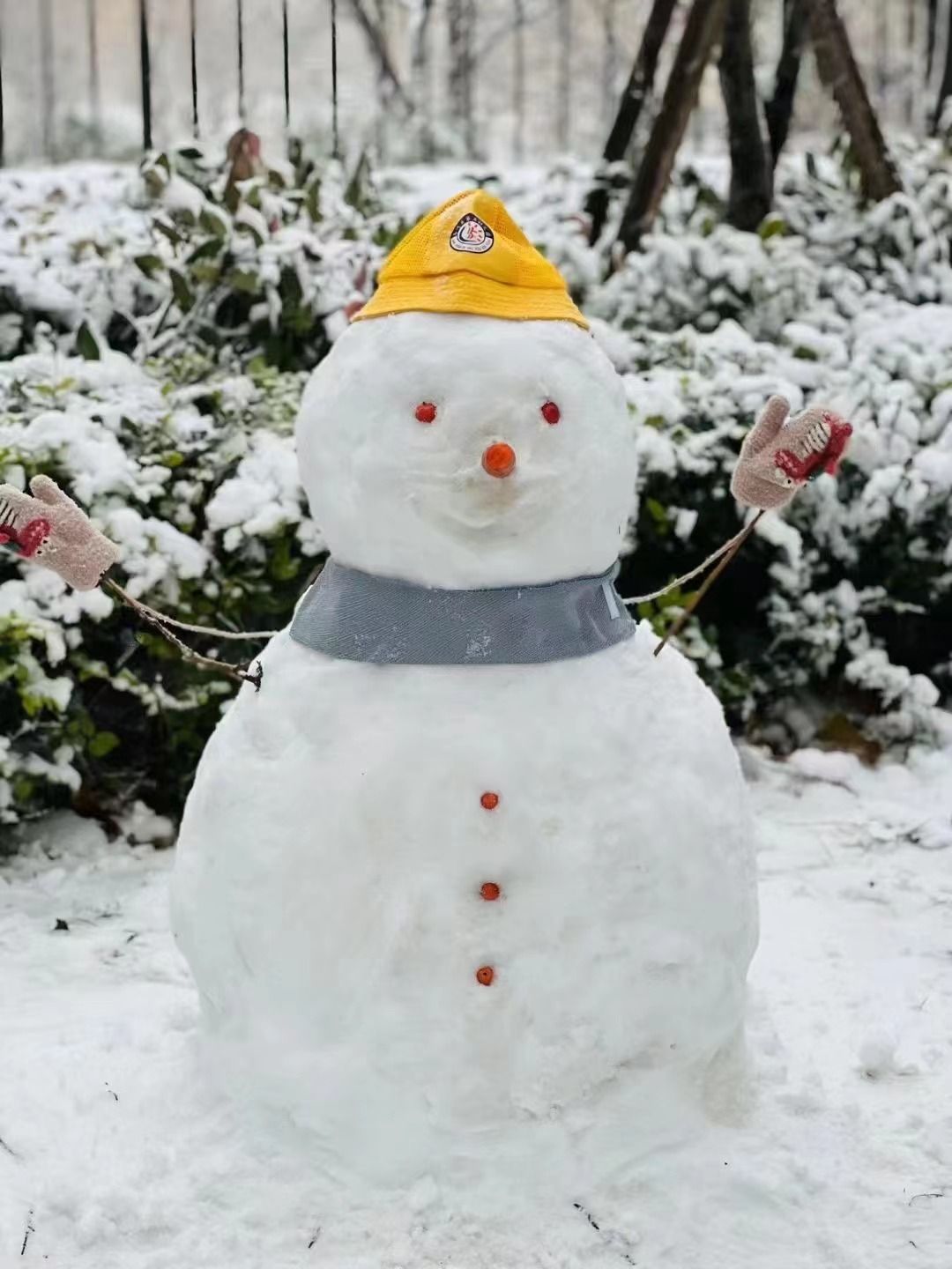 堆雪人大赛轮到德州了抓紧晒出你的雪人吧