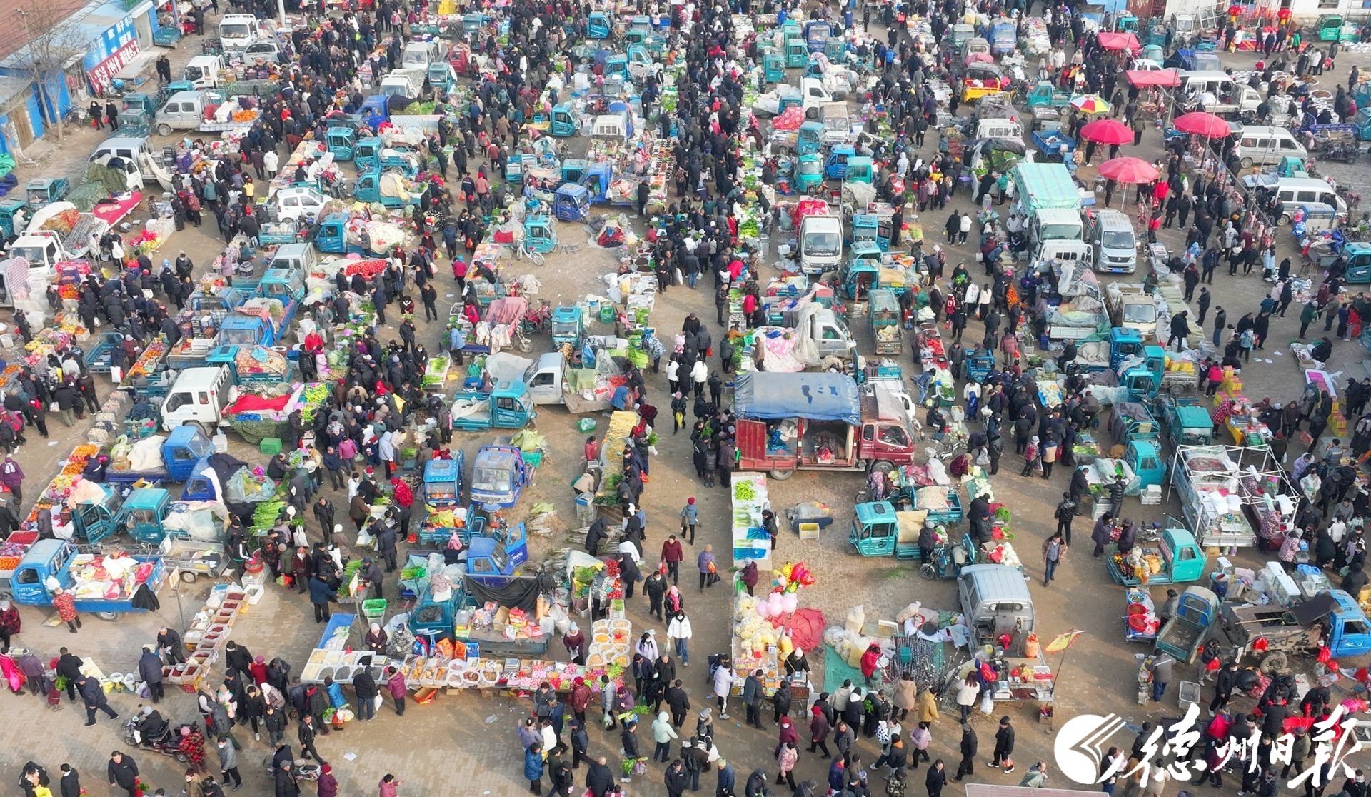 2月6日,腊月二十七,正值夏津县香赵庄大集,天气虽然寒冷,集市上却是